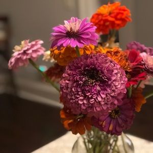 Meet your Posher, Victoria